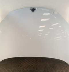 Capot RENAULT MEGANE 3 Photo n°1
