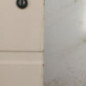 Porte avant gauche RENAULT TRAFIC 1