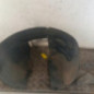 Pare boue avant droit CITROEN C3 PLURIEL