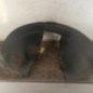 Pare boue avant gauche CITROEN C3 PLURIEL