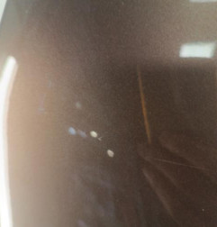 Aile avant droit RENAULT SCENIC 3 Photo n°3