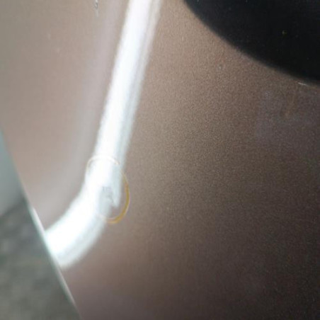 Porte arriere droit RENAULT SCENIC 3