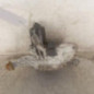 Moteur essuie glace avant gauche RENAULT SCENIC 3