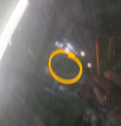 Capot RENAULT TWINGO 1