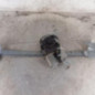 Leve vitre electrique avant gauche CITROEN C3 1