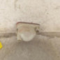 Anti brouillard arriere droit RENAULT KANGOO 2