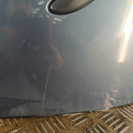 Porte arriere droit RENAULT CLIO 3