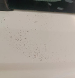 Porte avant droit PEUGEOT BOXER 3