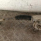 Cremaillere assistee VOLKSWAGEN GOLF 6