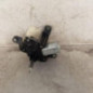 Moteur essuie glace arriere TOYOTA YARIS 1