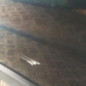 Porte arriere gauche CHEVROLET ORLANDO