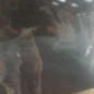 Porte avant droit CHEVROLET ORLANDO
