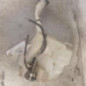 Vase de lave glace FORD FOCUS 3