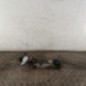 Cremaillere assistee CITROEN BERLINGO 1