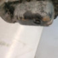 Moteur CITROEN C3 2