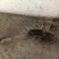 Cremaillere assistee FORD FOCUS 3