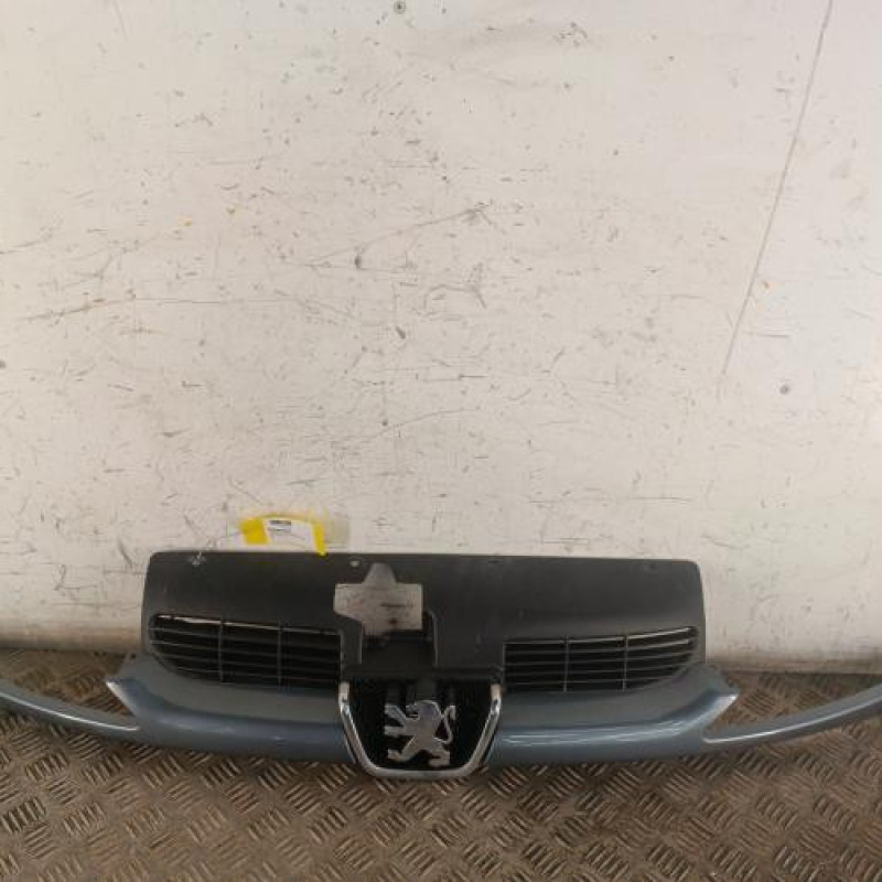 Calandre PEUGEOT 206 Calandre PEUGEOT 206