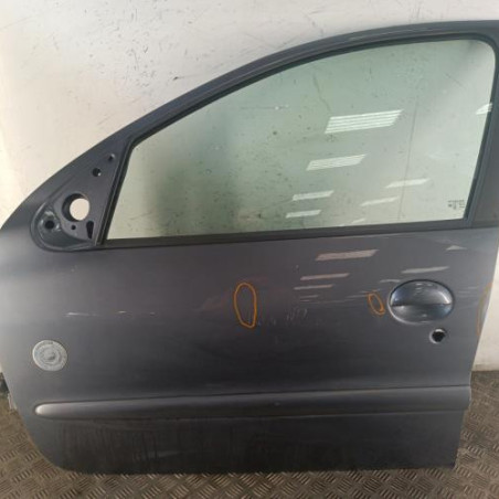 Porte avant gauche PEUGEOT 206 Photo n°1