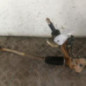 Cremaillere assistee RENAULT TRAFIC 2