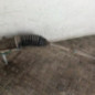 Cremaillere assistee CITROEN DS4