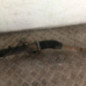 Cremaillere assistee FORD C-MAX 1
