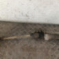 Cremaillere assistee CITROEN XSARA PICASSO
