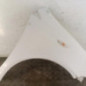 Aile avant droit TOYOTA YARIS 1