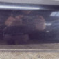 Hayon inferieur PEUGEOT 3008 1