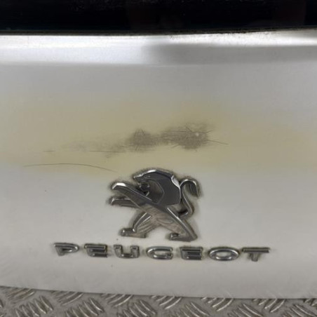 Malle/Hayon arriere PEUGEOT 3008 1