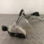 Serrure avant droit CITROEN C5 2