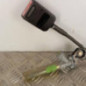 Attache ceinture avant gauche PEUGEOT 306