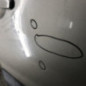 Porte avant droit DACIA DUSTER 1