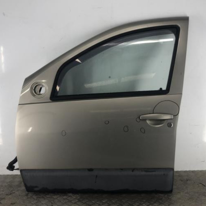 Porte avant gauche DACIA DUSTER 1