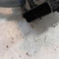 Moteur essuie glace avant RENAULT CLIO 2