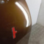 Porte arriere droit DACIA DUSTER 1