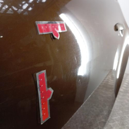 Porte arriere gauche DACIA DUSTER 1