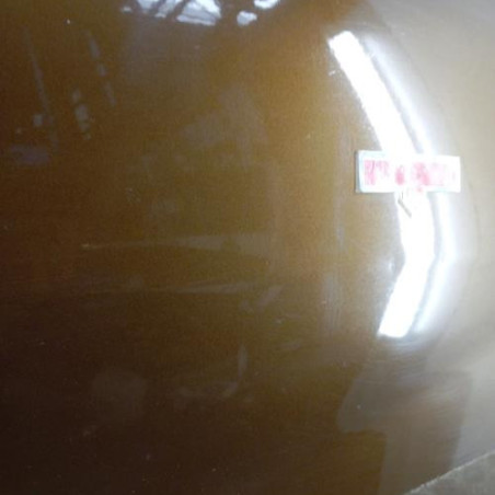Porte avant droit DACIA DUSTER 1