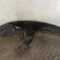 Pare boue avant droit RENAULT KANGOO 1