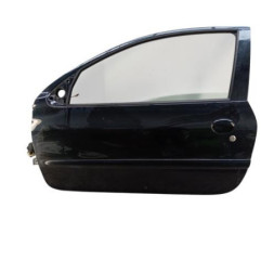 Porte avant gauche PEUGEOT 206+ Photo n°1