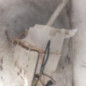 Vase de lave glace RENAULT KOLEOS 1