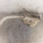 Vase de lave glace RENAULT KANGOO 2