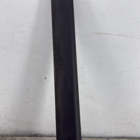 Baguette de porte avant gauche DACIA DOKKER Photo n°1