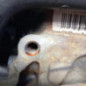 Moteur VOLKSWAGEN PASSAT 5