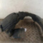 Pare boue avant gauche PEUGEOT 107