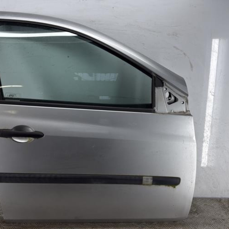 Porte avant droit RENAULT CLIO 3