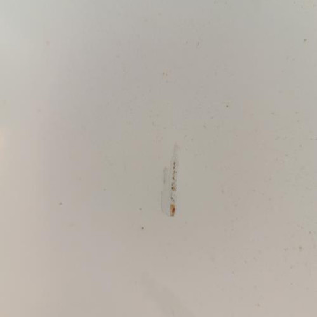 Capot OPEL CORSA B