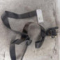 Ceinture avant gauche CITROEN C3 1