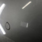 Porte arriere gauche PEUGEOT 206