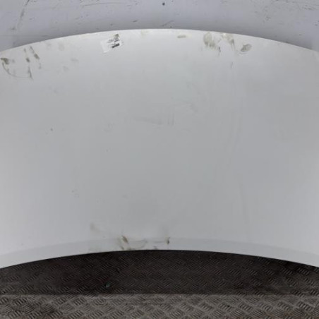 Capot PEUGEOT PARTNER 2 Photo n°1