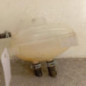 Vase d'expansion RENAULT TWINGO 3